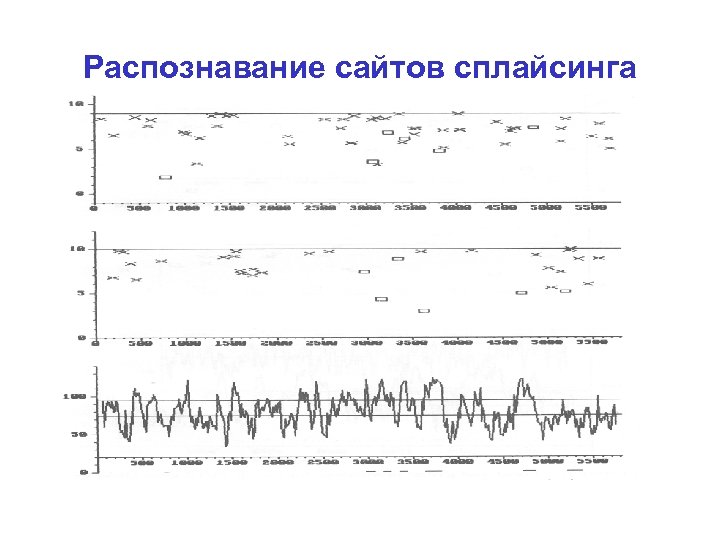 Распознавание сайтов сплайсинга 