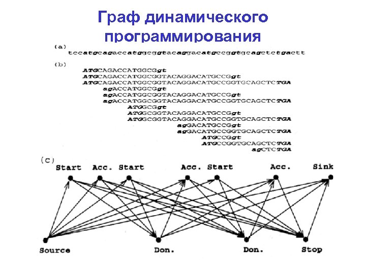 Граф динамического программирования 