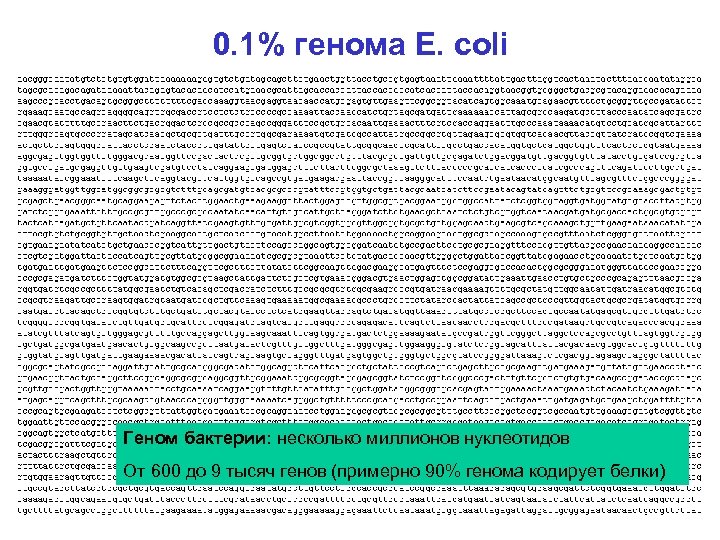 0. 1% генома E. coli Геном бактерии: несколько миллионов нуклеотидов От 600 до 9