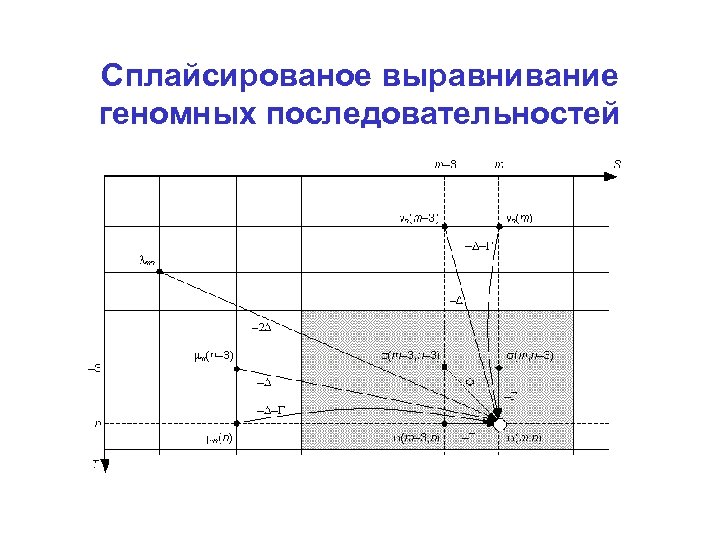 Сплайсированое выравнивание геномных последовательностей 