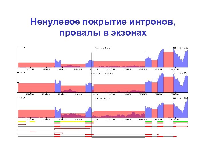 Ненулевое покрытие интронов, провалы в экзонах 