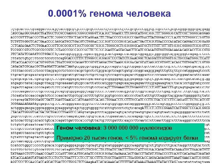 0. 0001% генома человека Геном человека: 3 000 000 нуклеотидов Примерно 20 тысяч генов,