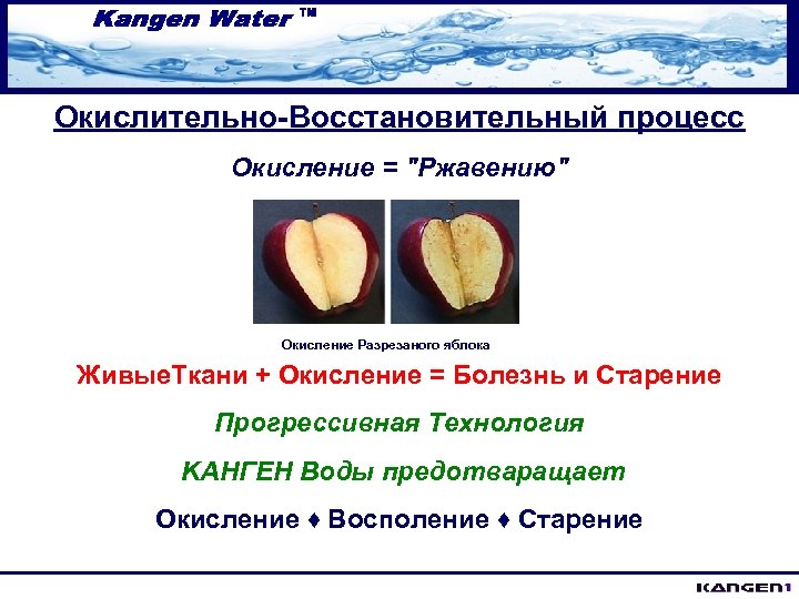Окислительно-Восстановительный процесс Окисление = "Ржавению" Окисление Разрезаного яблока Живые. Ткани + Окисление = Болезнь