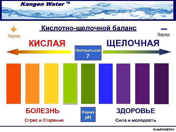 + Заряд _ Кислотно-щелочной баланс Заряд КИСЛАЯ Нейтральная ЩЕЛОЧНАЯ 7 БОЛЕЗНЬ Стрес и Старение