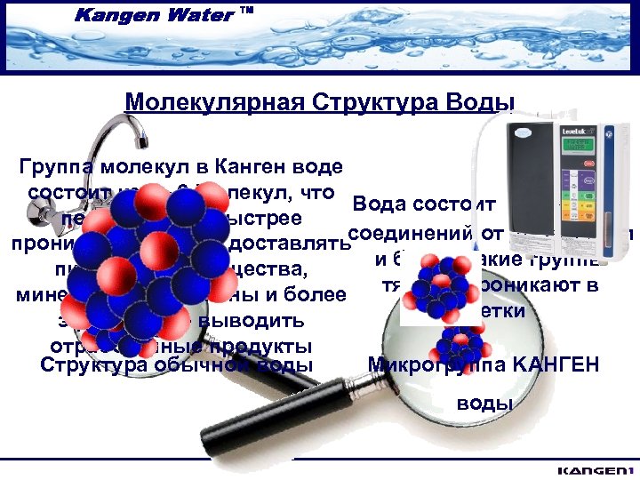 Молекулярная Структура Воды Группа молекул в Канген воде состоит из 5 - 6 Молекул,