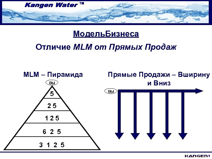 Модель. Бизнеса Отличие MLM от Прямых Продаж MLM – Пирамида ВЫ 5 25 125