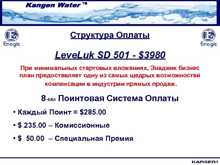 Структура Оплаты Leve. Luk SD 501 - $3980 При минимальных стартовых вложениях, Энаджик бизнес