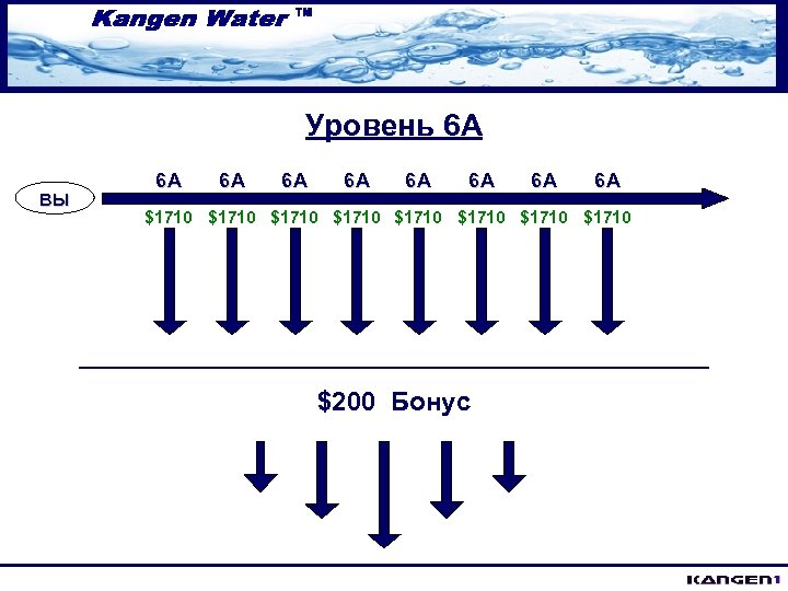 Уровень 6 A ВЫ 6 A 6 A $1710 $1710 $200 Бонус 