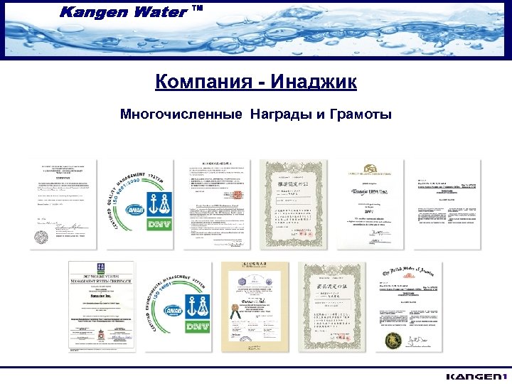 Компания - Инаджик Многочисленные Награды и Грамоты 