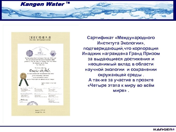 Сартификат «Международного Института Экологии» , подтверждающий, что корпорация Инаджик награждена Гранд Призом за выдающиеся