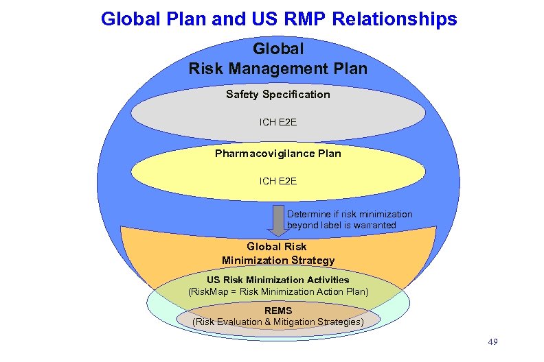 Global Plan and US RMP Relationships Global Risk Management Plan Safety Specification ICH E