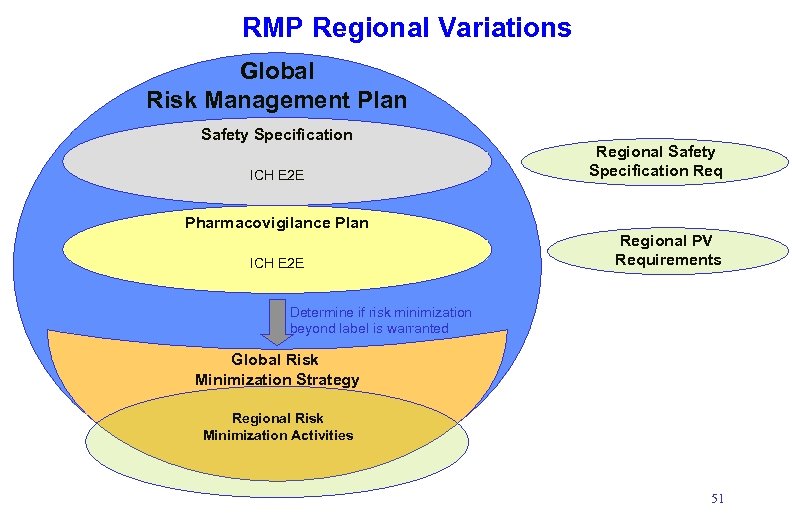 RMP Regional Variations Global Risk Management Plan Safety Specification ICH E 2 E Pharmacovigilance