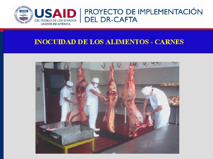 INOCUIDAD DE LOS ALIMENTOS - CARNES 