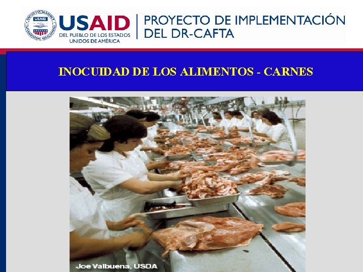 INOCUIDAD DE LOS ALIMENTOS - CARNES 