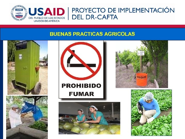BUENAS PRACTICAS AGRICOLAS 