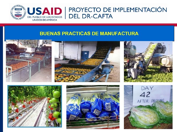 BUENAS PRACTICAS DE MANUFACTURA 