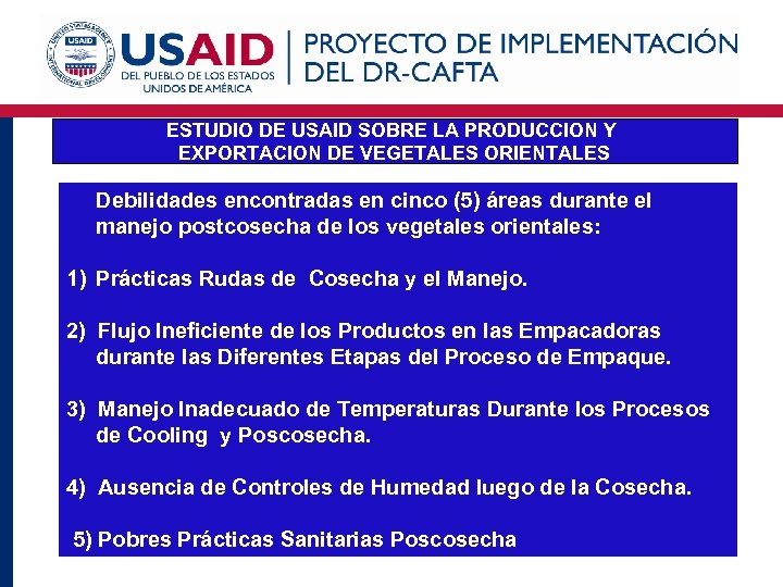 ESTUDIO DE USAID SOBRE LA PRODUCCION Y EXPORTACION DE VEGETALES ORIENTALES Debilidades encontradas en