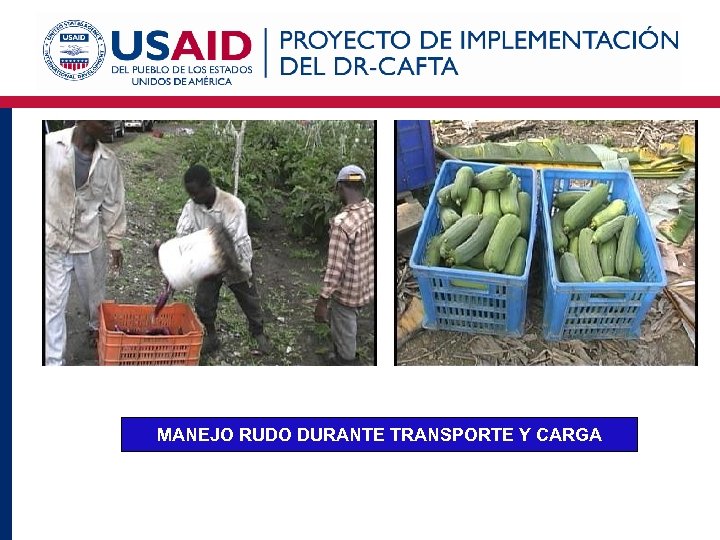 MANEJO RUDO DURANTE TRANSPORTE Y CARGA 