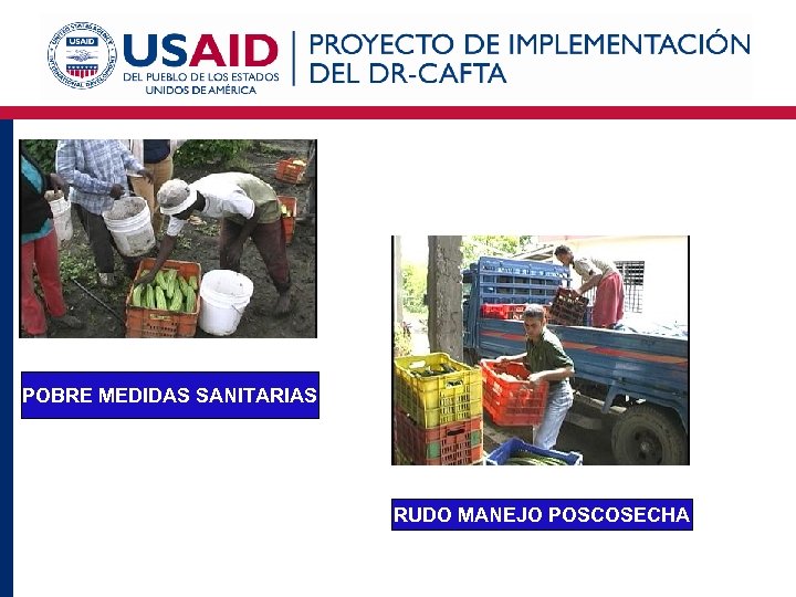 POBRE MEDIDAS SANITARIAS RUDO MANEJO POSCOSECHA 