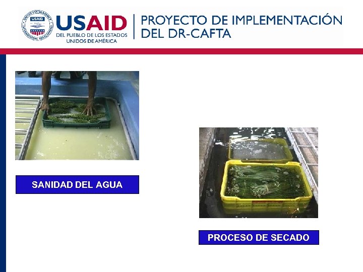 SANIDAD DEL AGUA PROCESO DE SECADO 