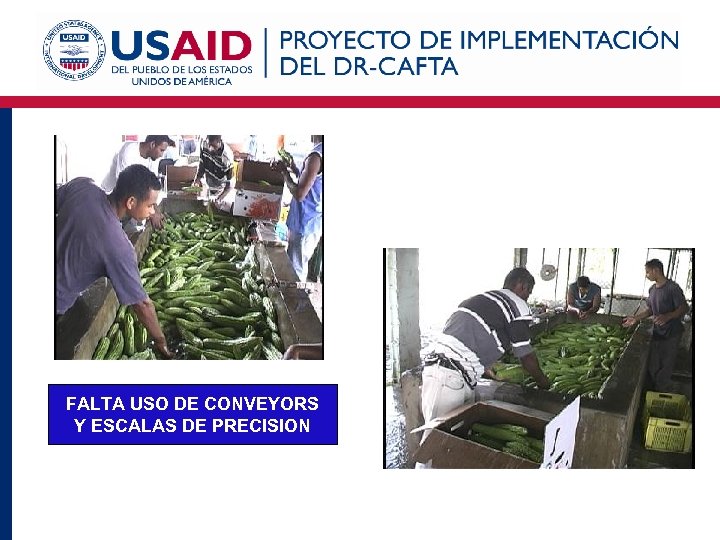 FALTA USO DE CONVEYORS Y ESCALAS DE PRECISION 