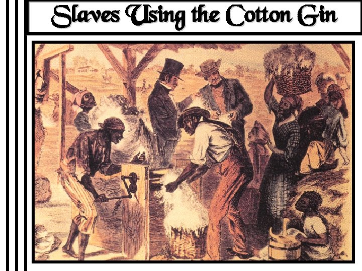 Slaves Using the Cotton Gin 