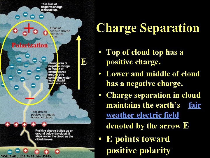 + Charge Separation Polarization E – Williams, The Weather Book • Top of cloud