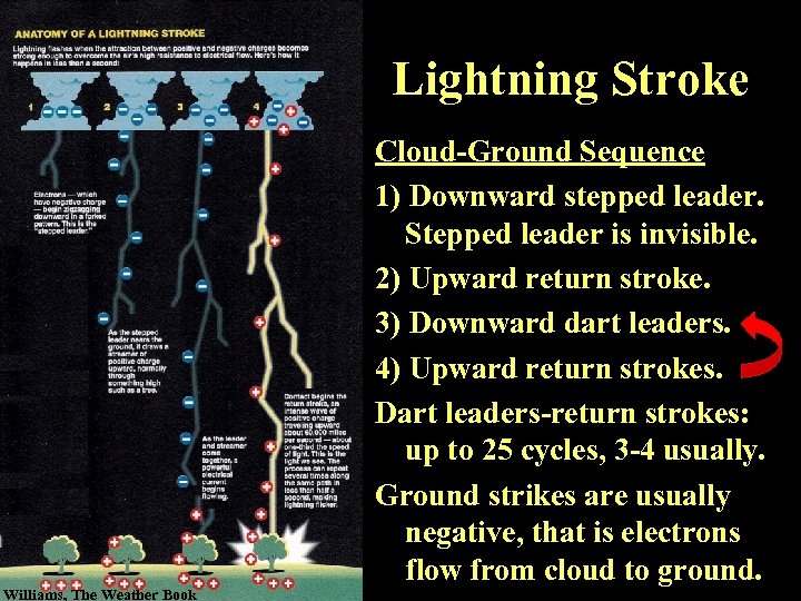 Lightning Stroke Williams, The Weather Book Cloud-Ground Sequence 1) Downward stepped leader. Stepped leader