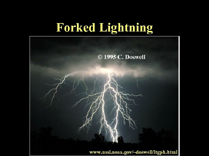 Forked Lightning www. nssl. noaa. gov/~doswell/ltgph. html 