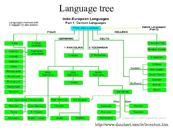 Language tree http: //www. danshort. com/ie/iecentum. htm 