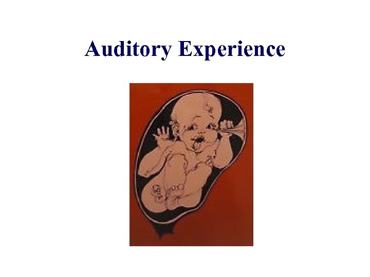 Auditory Experience 
