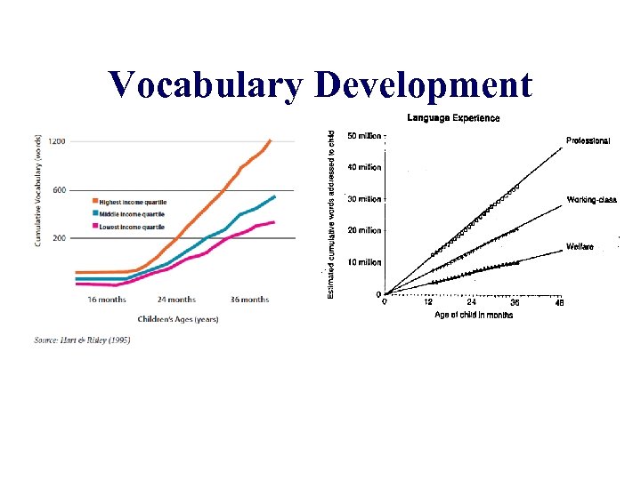 Vocabulary Development 