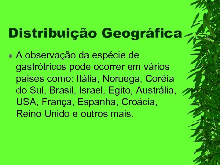 Distribuição Geográfica A observação da espécie de gastrótricos pode ocorrer em vários paises como: