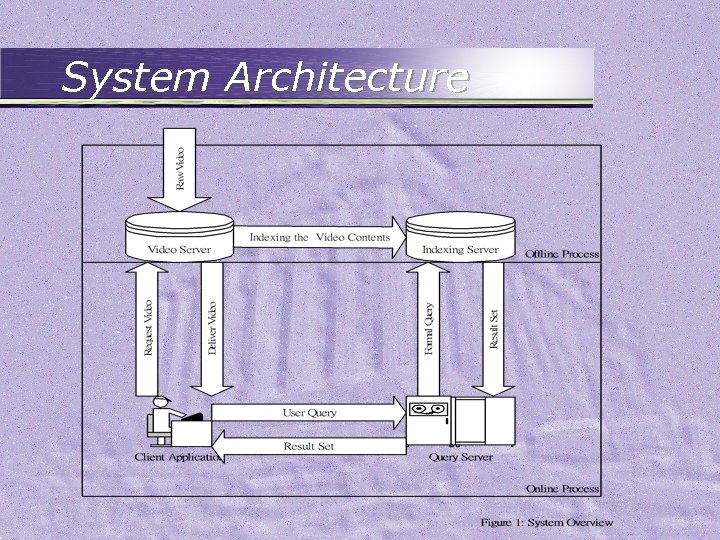 System Architecture 