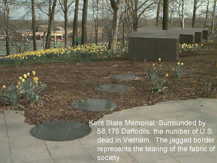 Kent State Memorial: Surrounded by 58, 175 Daffodils, the number of U. S. dead