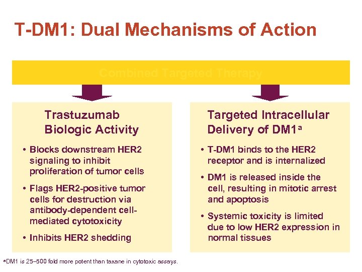 T-DM 1: Dual Mechanisms of Action Combined Targeted Therapy Trastuzumab Biologic Activity • Blocks