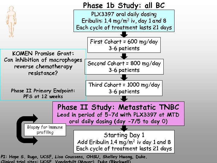 Phase 1 b Study: all BC PLX 3397 oral daily dosing Eribulin: 1. 4