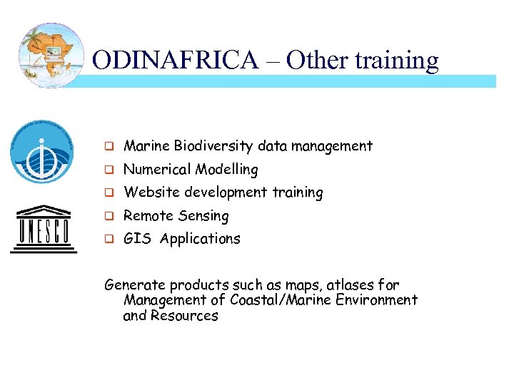 ODINAFRICA – Other training q Marine Biodiversity data management q Numerical Modelling q Website