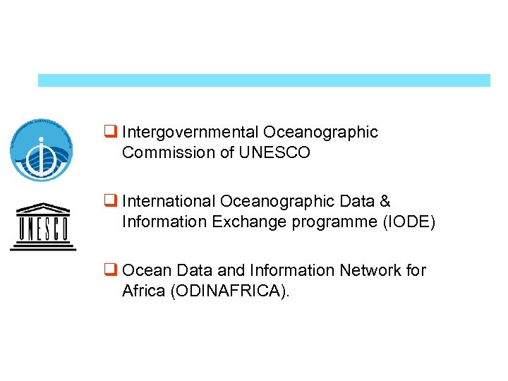 q Intergovernmental Oceanographic Commission of UNESCO q International Oceanographic Data & Information Exchange programme