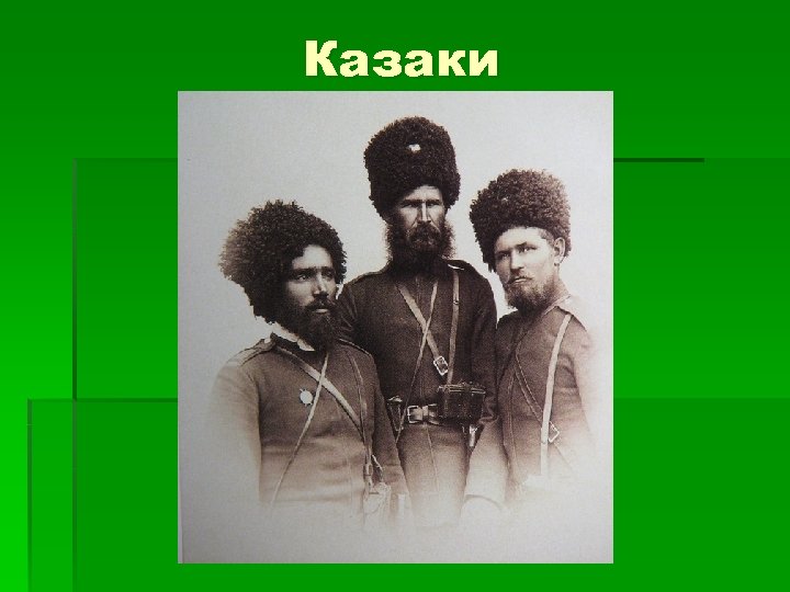 Казаки 