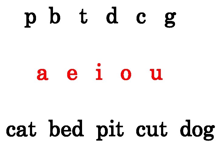 p b t d c g a e i o u cat bed pit