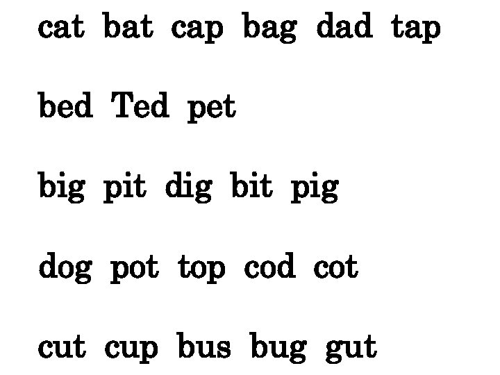 cat bat cap bag dad tap bed Ted pet big pit dig bit pig
