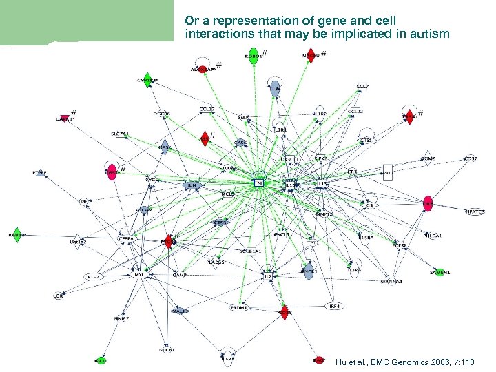 Or a representation of gene and cell interactions that may be implicated in autism