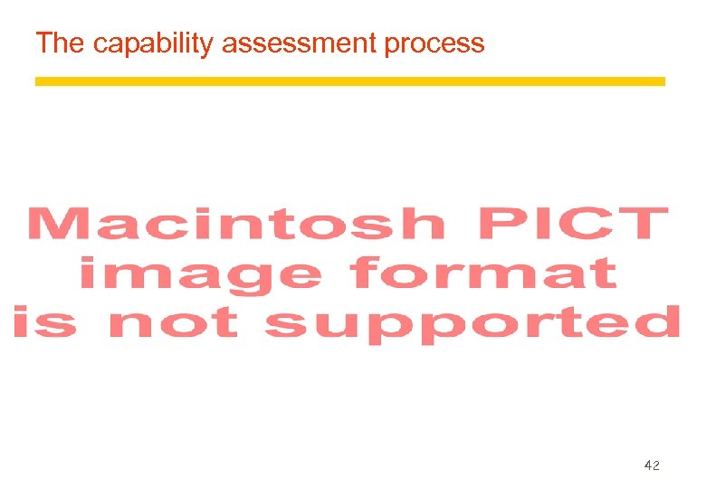 The capability assessment process 42 