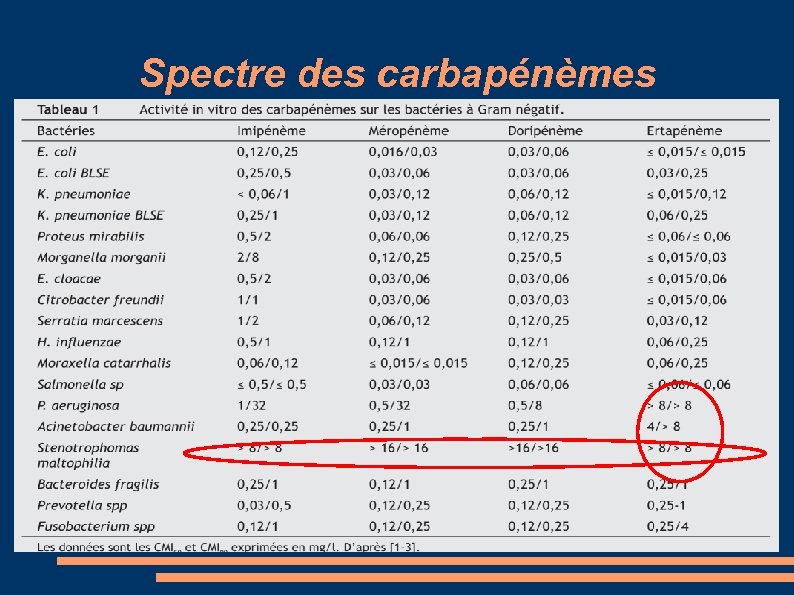 Spectre des carbapénèmes 