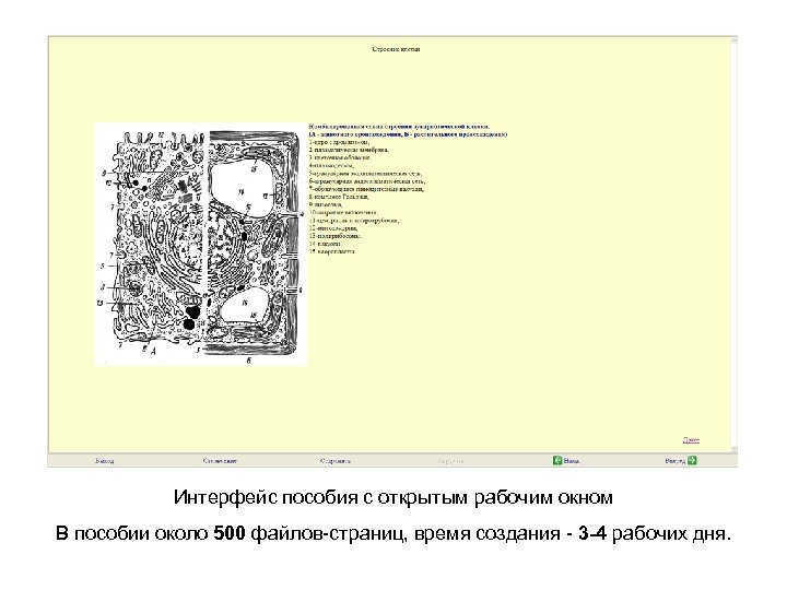 Интерфейс пособия с открытым рабочим окном В пособии около 500 файлов-страниц, время создания -