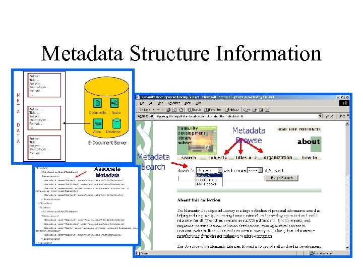 Metadata Structure Information Associate Metadata 