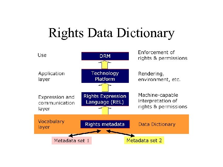 Rights Data Dictionary 