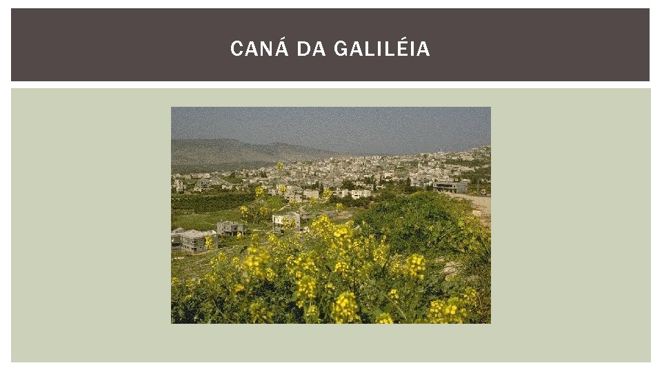 CANÁ DA GALILÉIA 