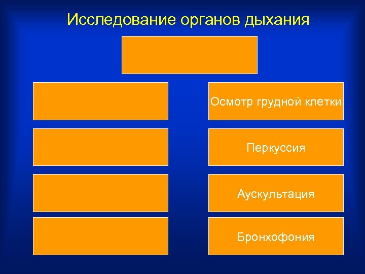 Исследование органов дыхания Осмотр грудной клетки Перкуссия Аускультация Бронхофония 